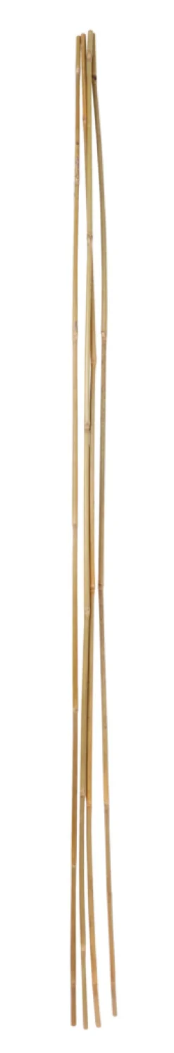 Home it Bambuspinne 150 cm 4 stk. | Bindetråd & Blomsterpinne