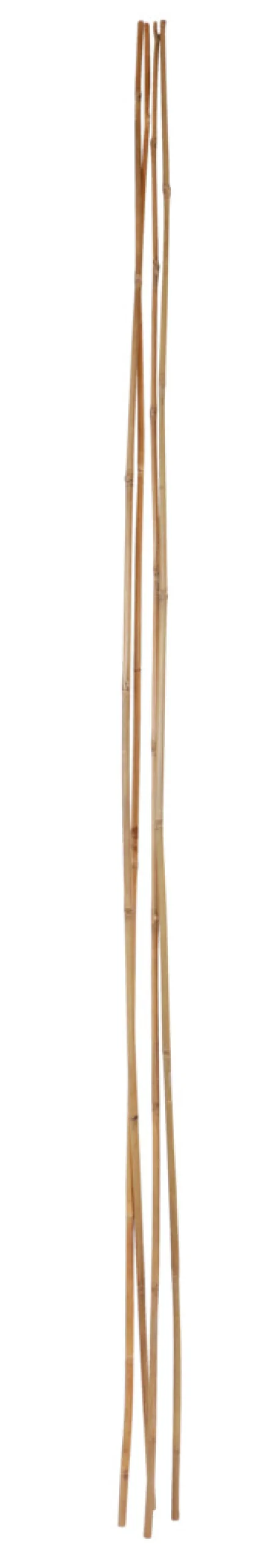 Home it Bambuspinne - 180 cm 4 stk. | Bindetråd & Blomsterpinne