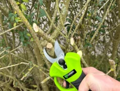 Garden Beskjæringssaks oppladbar 21 V 2,0 Ah – ® | Beskjæring