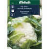 Weibulls Blomkål 'Snowball' | Frø