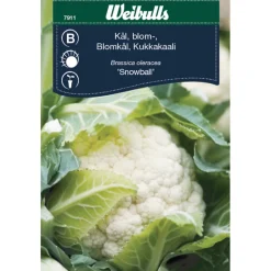 Weibulls Blomkål 'Snowball' | Frø