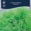 Weibulls Dill 'Mammut' | Frø