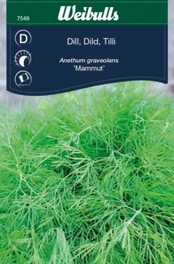Weibulls Dill 'Mammut' | Frø