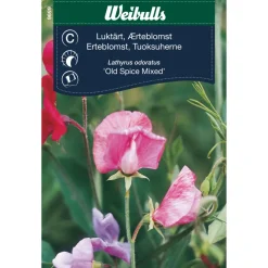 Weibulls Erteblomst 'Old Spice Mixed' | Frø