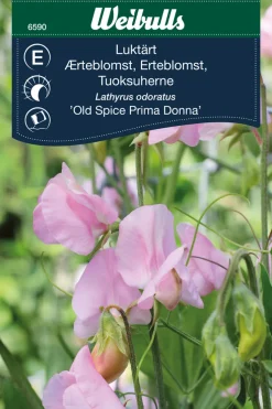 Weibulls Erteblomst 'Old Spice Prima Donna' | Frø
