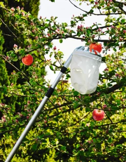 Garden Fruktplukker med beholder - ® | Tilbehør Til Fruktpressing Og Sylting