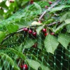 Garden Fuglenett 2 x 5 meter - ® | Plantebord & Høybed