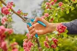 Gardena beskjæringssaks EasyCut | Beskjæring