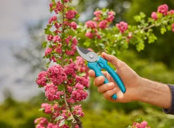 Gardena beskjæringssaks EasyCut | Beskjæring