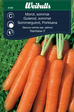 Weibulls Gulrot, sommer 'Nantaise 2' | Frø