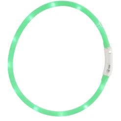 Petzone Halsbånd med LED grønn 20-60 cm | Hunde- Og Katteartikler