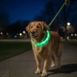 Petzone Halsbånd med LED grønn 20-60 cm | Hunde- Og Katteartikler