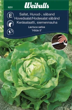 Weibulls Hodesalat (såbånd) - Attraction | Frø