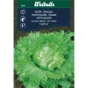Weibulls Isbergsalat 'Calmar' | Frø
