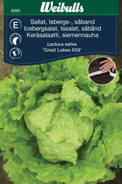 Weibulls Isbergsalat med såbånd, "Great Lakes" | Frø
