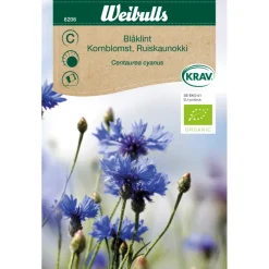 Weibulls Kornblomst økologisk | Økologiske Frø