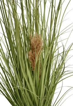 Kunstgress med ekte pampas 120 cm | Kunstige Planter