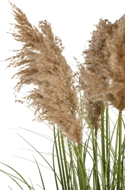 Kunstgress med ekte pampas 120 cm | Kunstige Planter