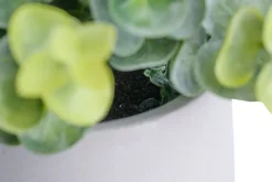 Kunstig buksbom H19 cm | Kunstige Planter