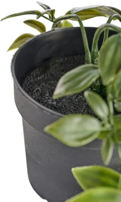 DAY Kunstig plante i potte H70 cm innendørs - | Kunstige Planter|Boliginnredning