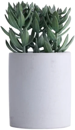 Kunstig plante tetragona H19 cm | Kunstige Planter