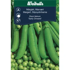 Weibulls Margert 'Early Onward' | Frø