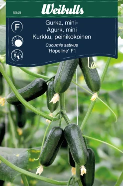 Weibulls Miniagurk, 'Hopeline F1' | Frø