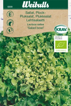 Weibulls Plukksalat økologisk - Salad Bowl | Økologiske Frø|Frø