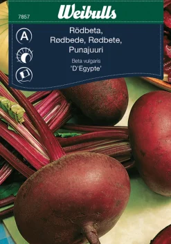 Weibulls Rødbeter 'D'Egypte' | Frø