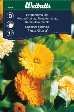 Weibulls Ringblomst lav 'Fiesta Gitana' | Frø