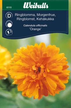 Weibulls Ringblomst "Orange" | Frø