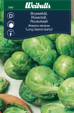 Weibulls Rosenkål ´Long Island` | Frø