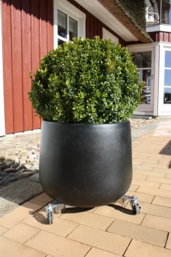 Garden Rullevogn til parasollfot og krukker - ® | Sesongavslutning|Parasoller Og Markiser