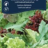 Weibulls Salatblanding 'Baby Leaf' | Frø