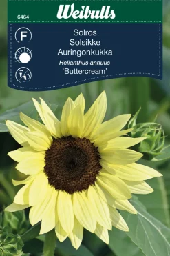 Weibulls Solsikke 'Buttercream' | Frø