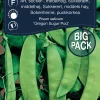 Weibulls Sukkerert høy 'Oregon Sugar Pod' | Frø