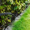 Garden Svetteslange 1/2" med 2 Lux-koblinger 15 meter – ® | Hageslanger Og Tilbehør