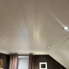 Snapwall Takpanel 10 x 154 x 2400 mm skygge bomull | Takpanel