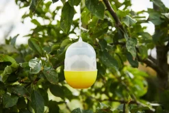 Garden Vepsefelle - ® | Feller