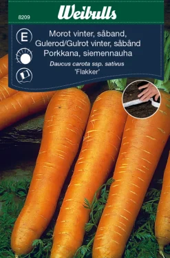Weibulls Vintergulrot, såbånd "Flakker" | Frø
