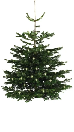 Scan-Pot Whiskytønne Ø64 cm | Krukker|Plantebord & Høybed