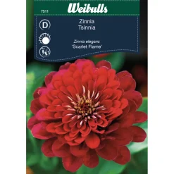Weibulls Zinnia Elegans 'Scarlet Flame' | Frø